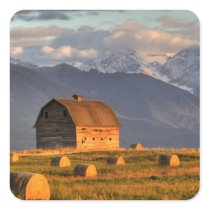 Old barn framed by hay bales and dramatic square stickers