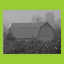 Old Barn Postcard postcards