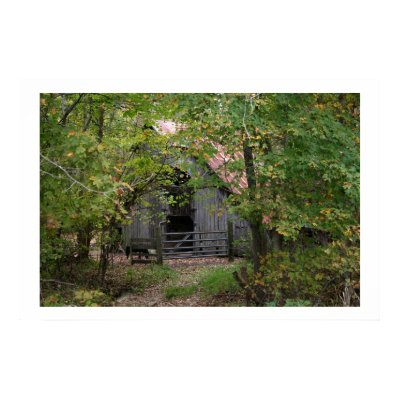 Old Barn Print by photonut