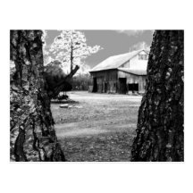 Old Barn Rural Barns Country Black & White Photo Post Card