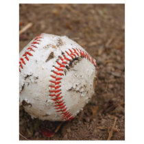 old baseball personalized flyer