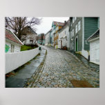 Old Bergen Museum (Norway) Print