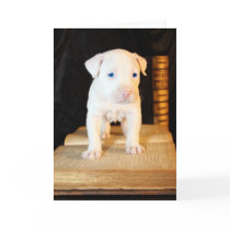 Old Bible, New Puppy cards by beverlytazangel Old Bible, New Puppy cards