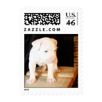 Old Bible, New Puppy postage by beverlytazangel Old Bible, New Puppy postage
