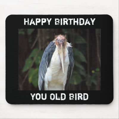old_bird_birthday_mousepad-p144836738552887264z8xsj_400.jpg