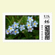Old Blue Eyes postage