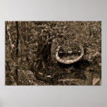 Old boat in swamp Poster