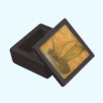 Old Boat premium gift boxes