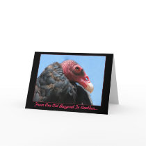Old Buzzard Birthday Card