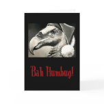 Old Buzzard Christmas Card