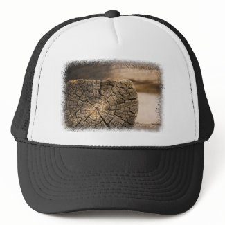 Old Cabin Textures Hat