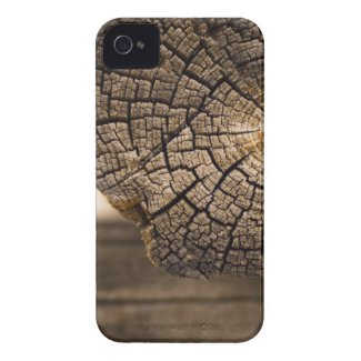 Old Cabin Wood Textures Case-Mate iPhone 4 Case