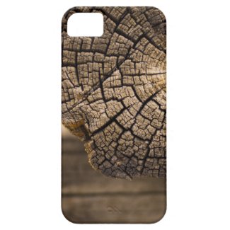 Old Cabin Wood Textures iPhone 5 Cover