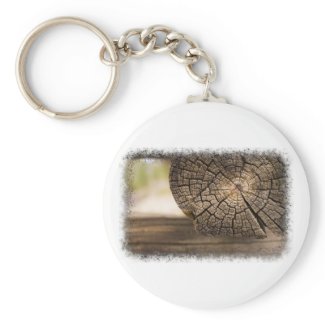 Old Cabin Wood Textures Key Chain