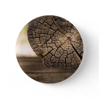 Old Cabin Wood Textures Pins