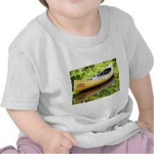 Old Canoe Shirts
