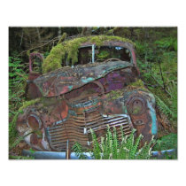 Old Car Wreck in the Forest Photo