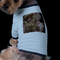 Old Child's Doll pet clothing
