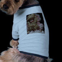 Old Child's Doll pet clothing
