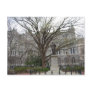 Old City Hall, Richmond, VA in spring Postcard