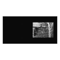 Old cottage and Tree. Black and white. Photo Card Template