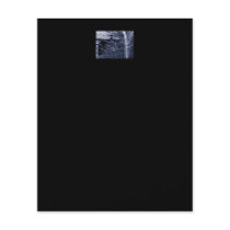 Old cottage. Blue and white on Black. Personalized Flyer