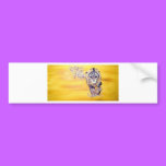 Old Couple bumper stickers