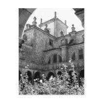 Old Courtyard Black & White Photograph Postcard