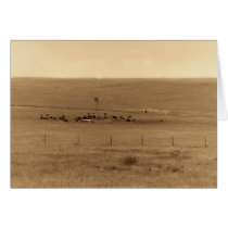 old cows cards by Ksimmy old cows cards