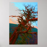Old Creepy Tree Surreal Poster Print