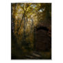 Old Crypt Autumn