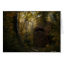 Old Crypt Autumn