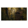 Old Crypt Autumn