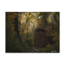 Old Crypt Autumn