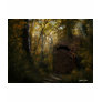 Old Crypt Autumn