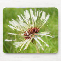 Old Dandelion ~ mousepad