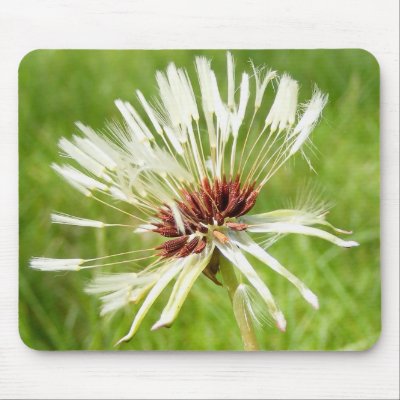 Old Dandelion ~ mousepad by Andy2302