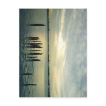 Old Dock Pilings postcards