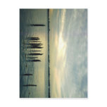 Old Dock Pilings Postcard