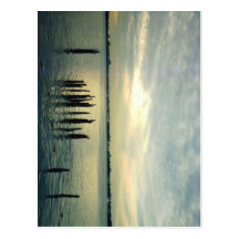 Old Dock Pilings Postcard