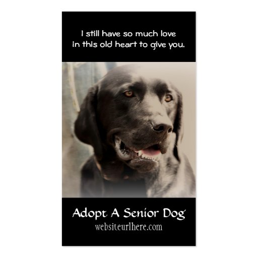 Old Dog  Animal Rescue Business Card
