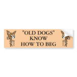 "OLD DOG" Logo with Sayin'