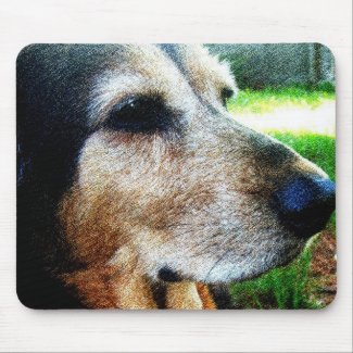Old dogs are beautiful mousepad