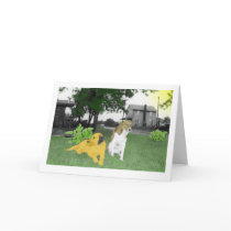 old dogs new tricks cards by dennythemany old dogs new tricks cards
