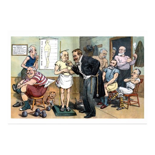 Old Dr. Roosevelt 1907 vintage political cartoon Poster | Zazzle
