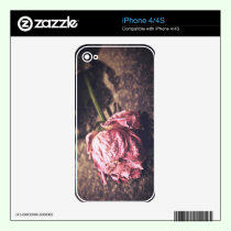 Old dryed vintage pink rose macro shot photo skins
