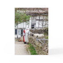 OLD ENGLAND TUDOR LADIES. No.1 Cards