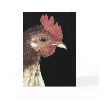 Old English Bantam Rooster card