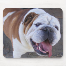 Old English Bulldog Mousepads