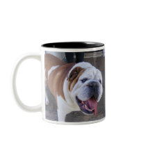 Old English Bulldog Coffee Mugs